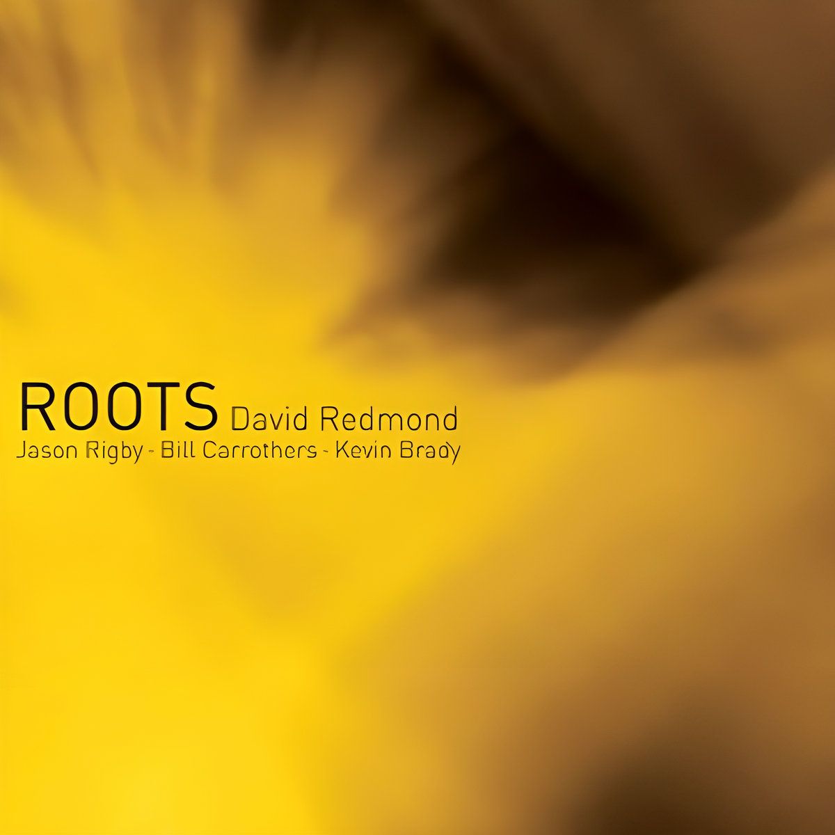 Album Review: Blast From The Past - David Redmond - Roots