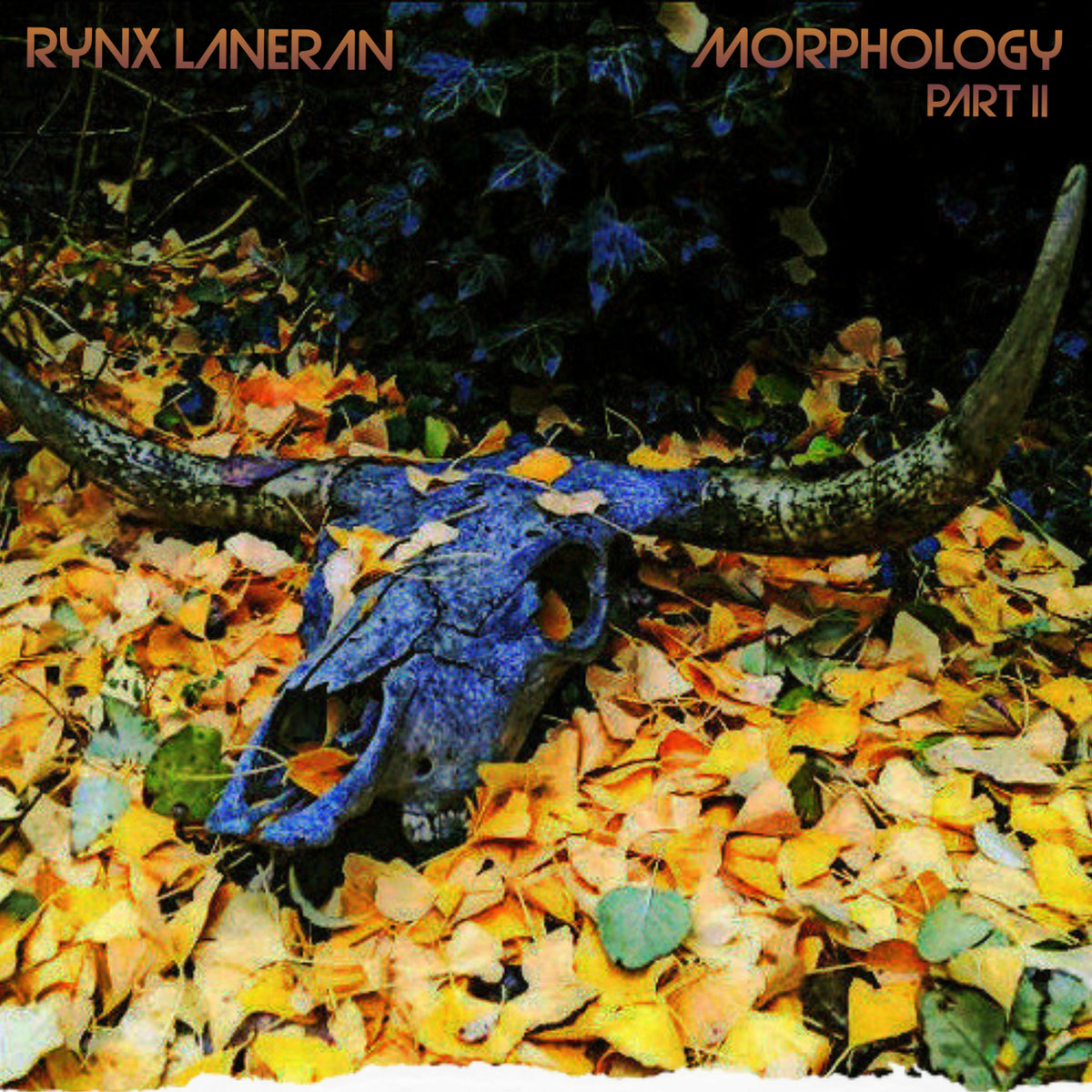 New EP Release “Morphology Pt.2” from Rynx Laneran